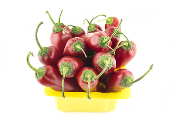 Image showing hot chili pepper