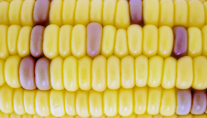 Image showing Corn