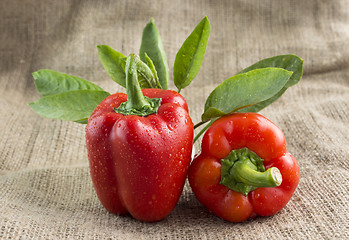 Image showing Red sweet pepper 