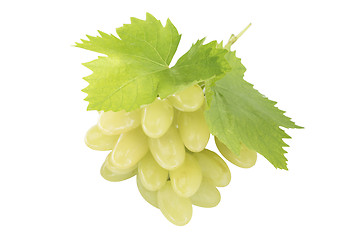 Image showing Ripe grapes with leaf