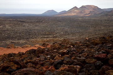 Image showing bush timanfaya  in los volcanes volcanic  