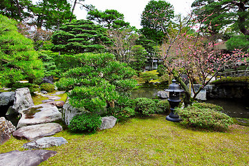 Image showing Japanese style garden