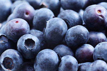 Image showing Blueberry