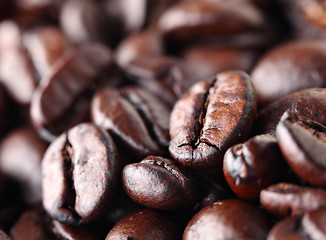 Image showing Coffee bean