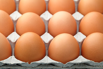 Image showing Egg in package