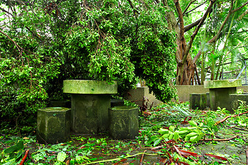 Image showing Park destroyed by typhoon