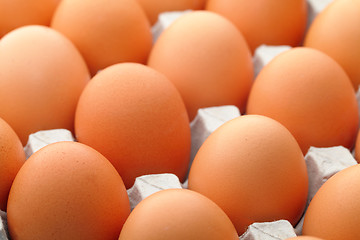 Image showing Brown egg in package