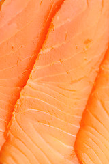 Image showing Salmon texture