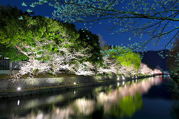 Image showing Sakura tree and Biwa lake canal at night 