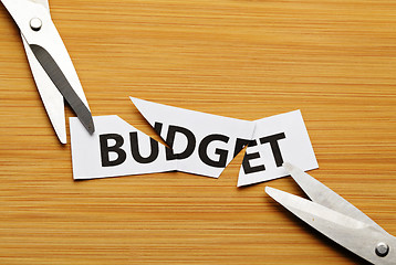 Image showing Cut budget