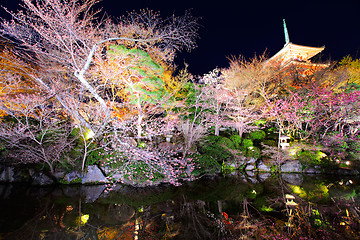 Image showing Japanese temple with sakura at night