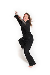 Image showing woman doing karate