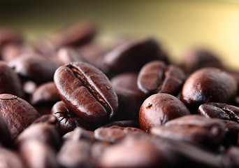 Image showing Coffee bean close up