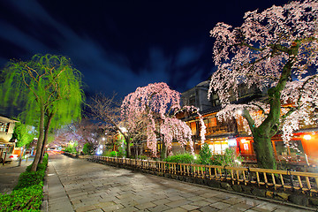 Image showing Gion in Kyoto with sakura tree at night