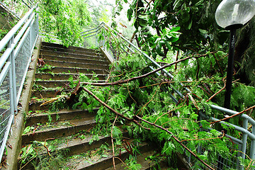 Image showing Destroyed after typhoon