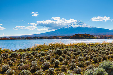 Image showing Mountain fuji and lake