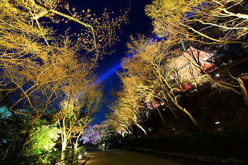 Image showing Japanese temple and sakura tree at night