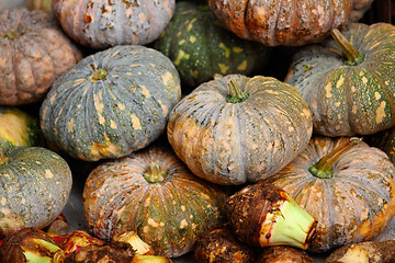 Image showing Pumpkin