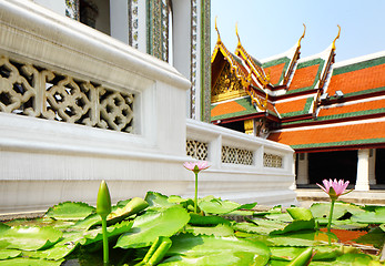 Image showing Lotus pond in Thai temple