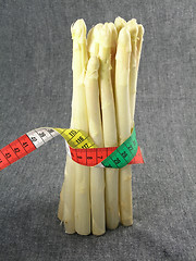 Image showing asparagus