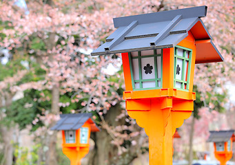 Image showing Red lantern with sakura tree