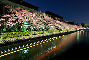 Image showing Biwa lake canal with sakura tree besides