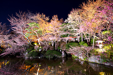 Image showing Sakura tree with river