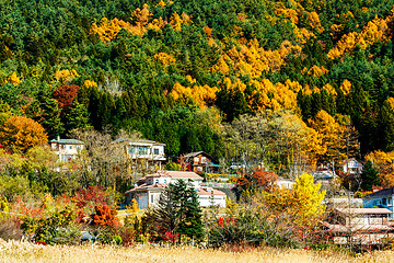 Image showing Village in forest during autumn season