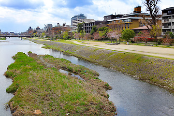 Image showing Kamo river in Kyoto