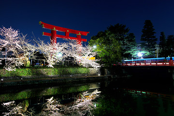 Image showing Sakura and torii at night