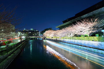 Image showing Lake with sakura cherry in kyoto at night