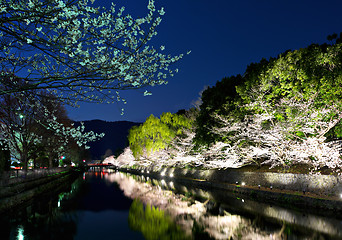 Image showing Sakura and river in kyoto at night