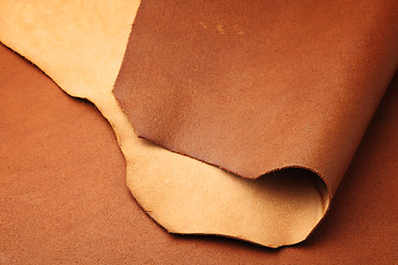 Image showing Brown leather