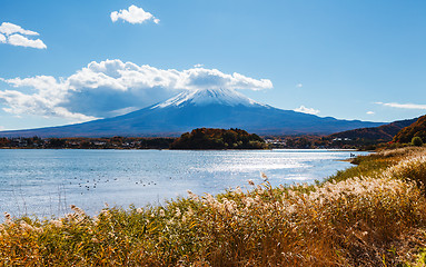 Image showing Mountain Fuji and lake kawaguchi