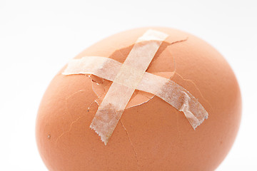 Image showing Brown egg with plaster