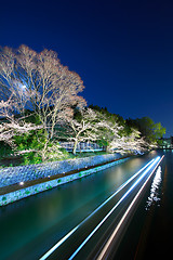 Image showing Biwa lake canal with sakura tree at night