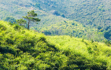 Image showing Mountain