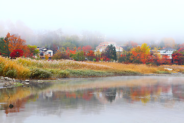 Image showing Autumn forest and lake