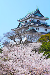 Image showing Wakayama castle with sakura