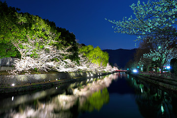 Image showing Biwa lake canal with sakura tree