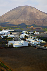 Image showing city cultivation home viticulture  lanzarote  