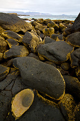 Image showing in lanzarote  isle foam rock landscape  stone    water 