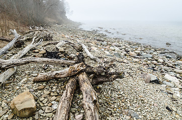 Image showing Coast of Baltic sea in a fog