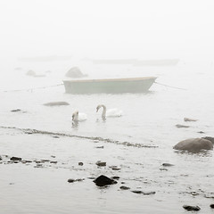 Image showing Fishing boat at coast foggy in the morning