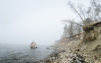 Image showing Steep coast of Baltic sea in a fog