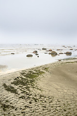 Image showing Coast of Baltic sea in a fog