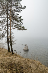 Image showing Coast of Baltic sea in a fog