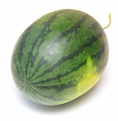 Image showing watermelon