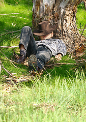 Image showing Asleep under a gum tree