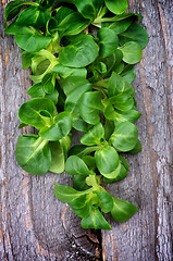 Image showing Corn Salad